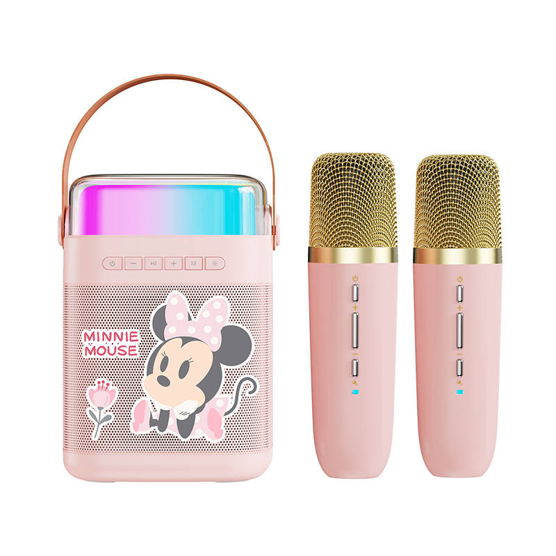 Disney Disney Pine Microphones