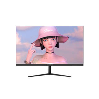 IPASON Monitors