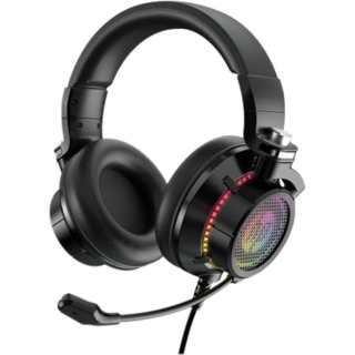 HP Wired Headphones