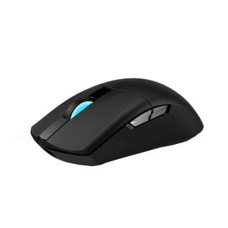 HECATE Mice