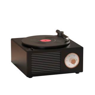 SEGUO Vinyl Record Players