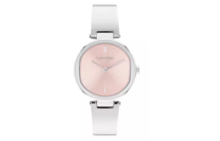CALVIN KLEIN Wind Style Collection Wrist Watches Quartz Movement Steel Strap 30mm Pink Watch Dial Women's Watch