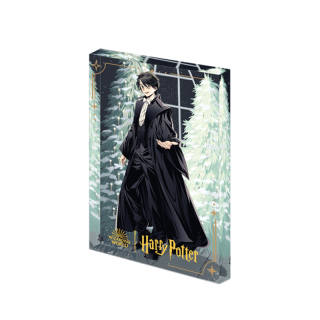Resonance Harry Potter Gala Collection Mystery Boxes Single Mystery Box/Full Box 6 Pcs