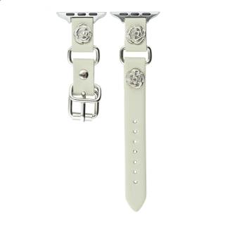CHENSONG Strap Apple Compatibility Metal 49mm