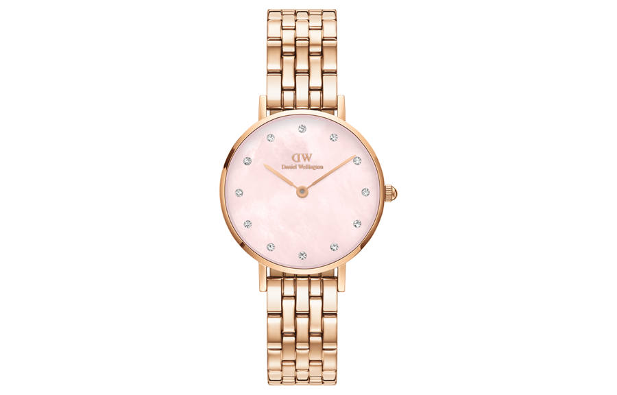 DW/DanielWellington Daniel Wellington PETITE Collection Wrist Watches Quartz Movement Stainless Steel Watchband 28mm