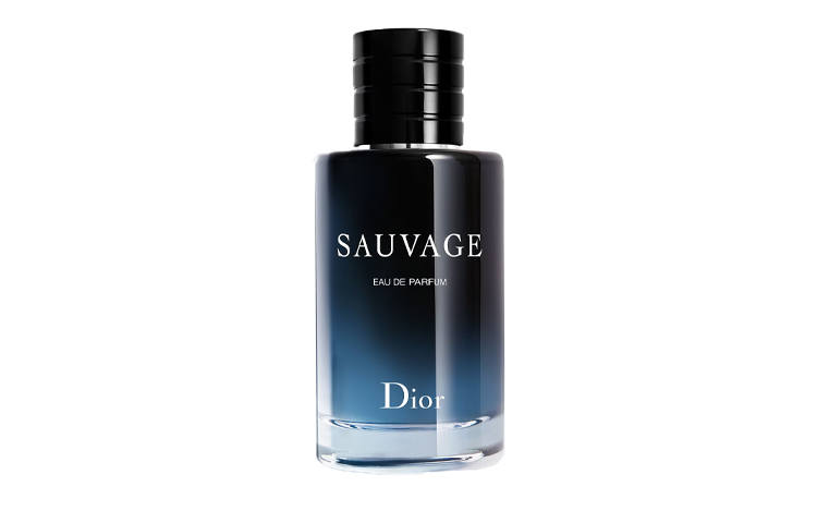 DIOR Wilderness Dark Scent Edition Men's Perfumes Oriental Fougere Eau De Parfum EDP Birthday Gift