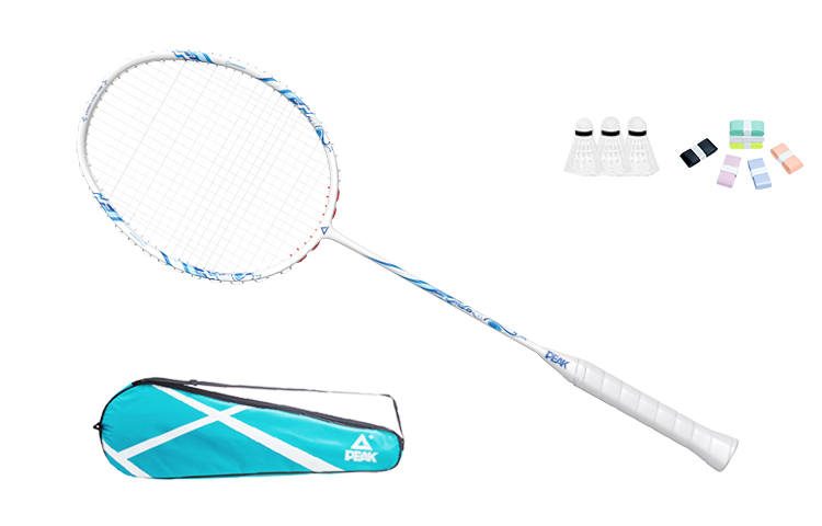 PEAK PEAK Full Carbon Badminton Rackets Control Type All around Defense Advanced Level 673MM