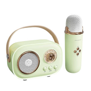 Disney Speakers All-in-One PC Portable Bluetooth Wireless K-Song Microphone With TF Card Slot And HIFI Stereo Sound
