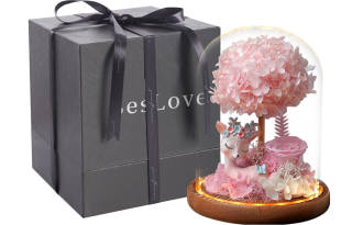 Jane Flowers Deer Preserved Flower 1 Flower