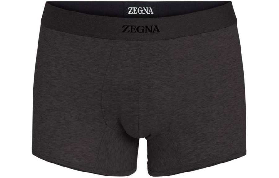 Ermenegildo Zegna Logo Detailed Elasticated-Waistband Trunks