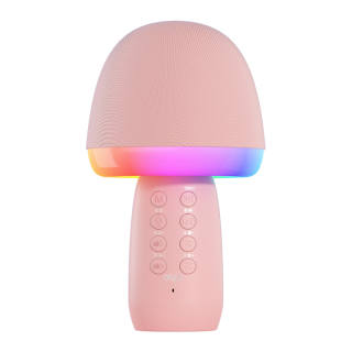 AIGO Speakers K1 Bluetooth Connection Home KTV