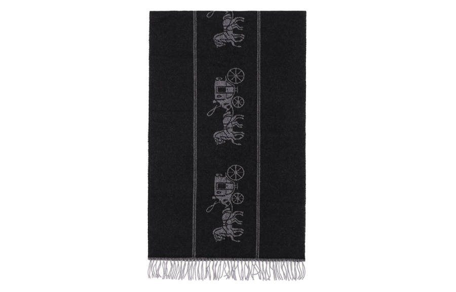 COACH COACH Knit Scarves Women's Black