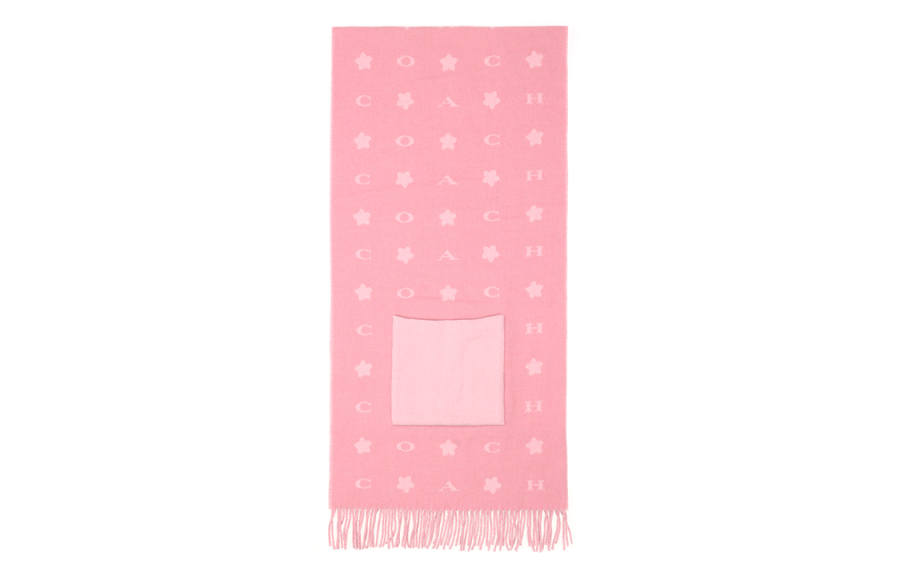 COACH COACH Knit Scarves Women's