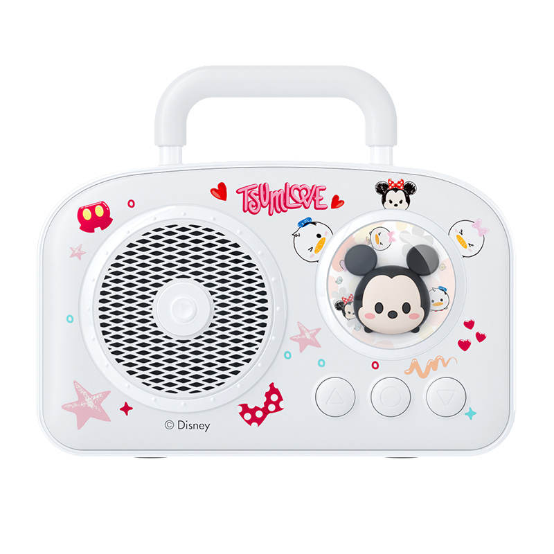 Disney Disney Outdoor & PA Speakers