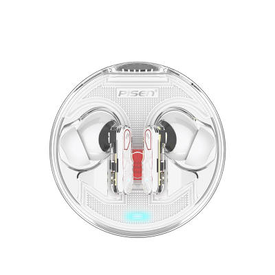 PISEN Wireless Headphones