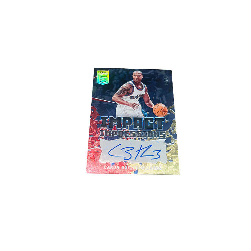 PANINI Caron Butler, Star Card, Card Pass Sports Cards 1 Pc