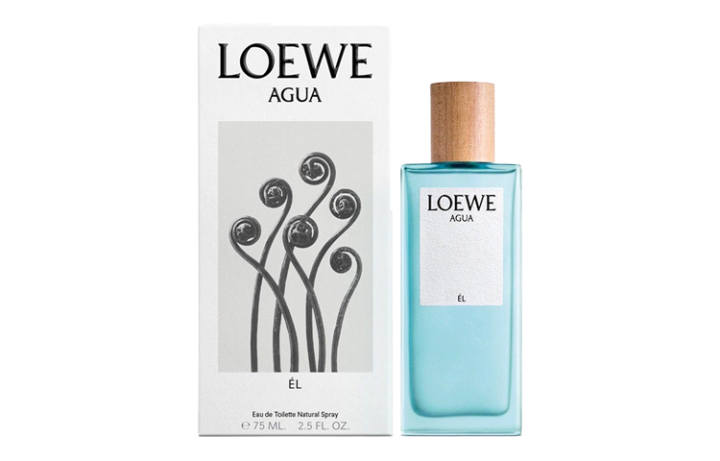 LOEWE LOEWE Homme Eau De Toilette Men's Perfumes Fruity Scent Family Eau De Toilette