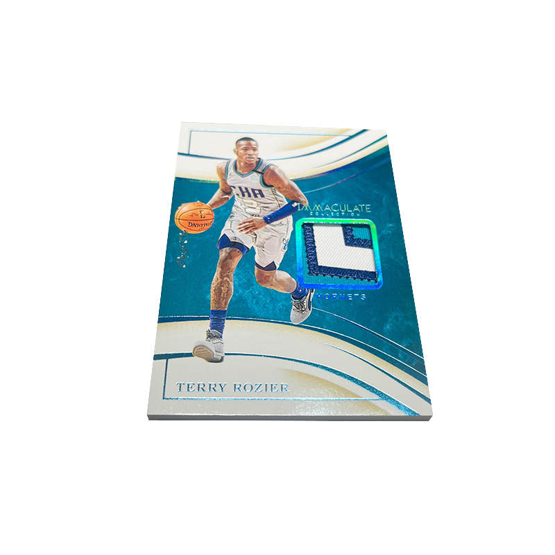 PANINI Terry Rozier, Player Card, Card Access Pass Sports Cards 1 Pc