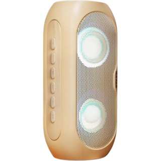 RTAKO Speakers YX1211 Bluetooth Connection High Quality Subwoofer Car Mounted Outdoor