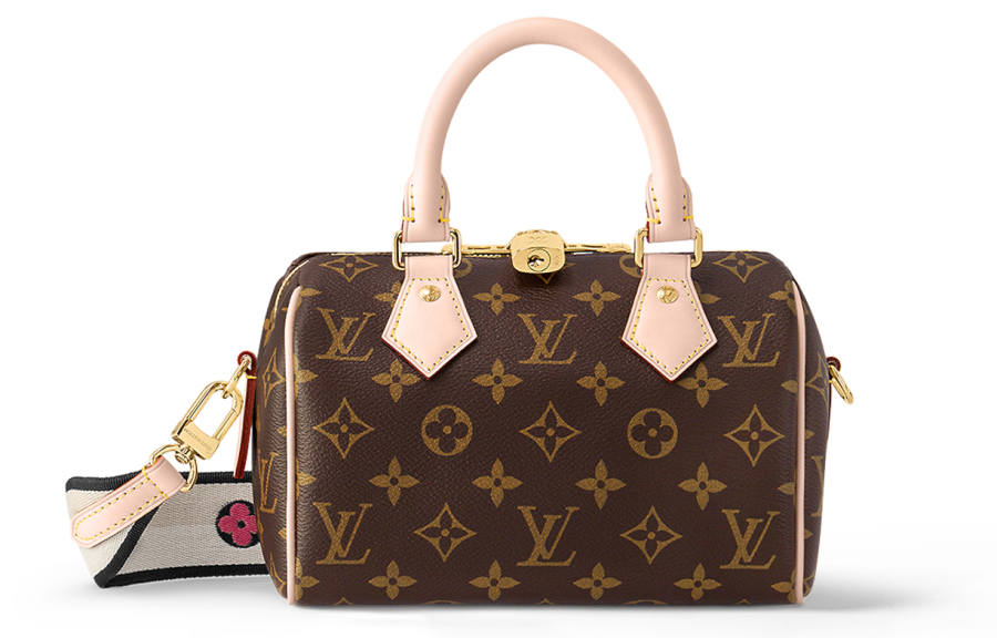LOUIS VUITTON Speedy Canvas With Leather Trim Handbag Women's Brown