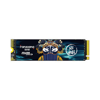 FANXIANG S790C M.2 Port NVMe Protocol PCIe 4.0 X4 PS5 Desktop Laptops Expansion SSD S790C