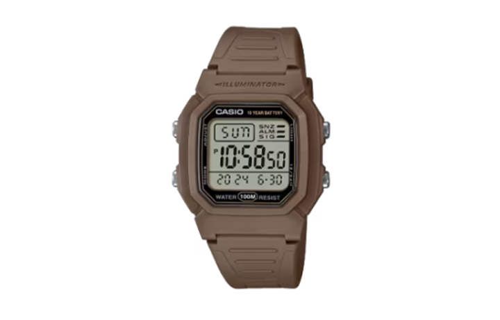 CASIO CASIO Unisex Gray Watch W800H-5AV