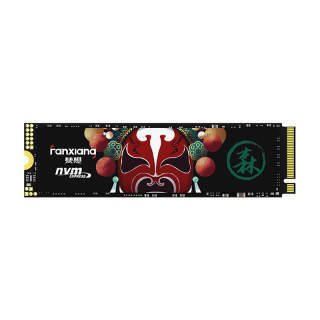 FANXIANG SSDs