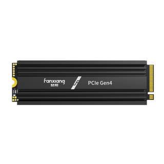 FANXIANG S770M M.2 Port NVMe Protocol PCIe 4.0 X4 Gaming Play Independent Cache SSD S770M