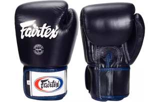 FAIRTEX Boxing Gloves