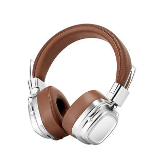 LZL Wireless Headphones