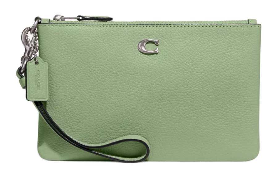 COACH Wristlet Grain Leather Wrist Bag Clutch Small Women's Silver & Light Pistachio