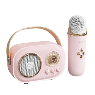 SEGUO Wireless Speakers