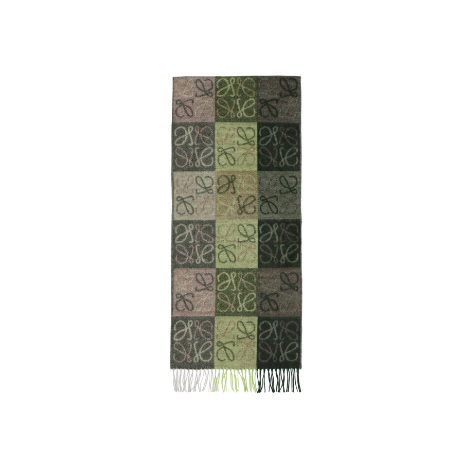 LOEWE Knit Scarves Women's Green