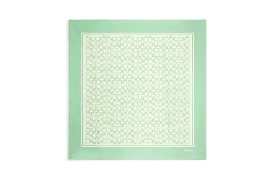 COACH COACH Silk Scarves Unisex Green