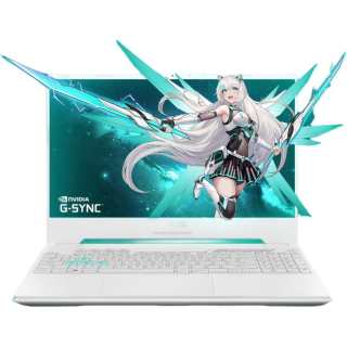 ASUS Tianxuan 5 R7 8845H RTX 4060 High Performance Esports Gaming Laptops