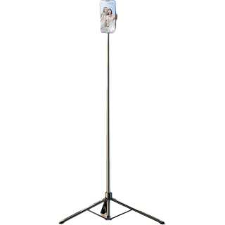 RTAKO Gimbal Gold Ratio 2.1m, Ultra Wide Perspective Dgnjj 001