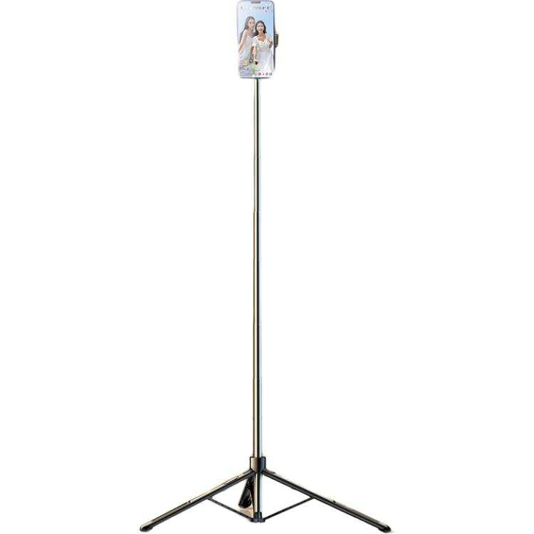 RTAKO RTAKO Gimbal Gold Ratio 2.1m, Ultra Wide Perspective Dgnjj 001