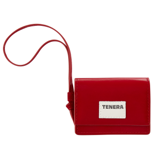 TENERA Earphone Cases