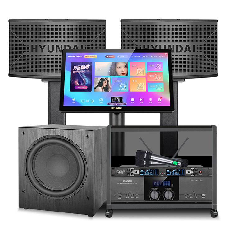 HYUNDAI Speakers BT 110 Modern Family Karaoke, Karaoke Singing, Bar Professional, High Power