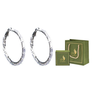 SENDME Synthetic Cubic Zirconia 925 Sterling Silver Earrings Women's