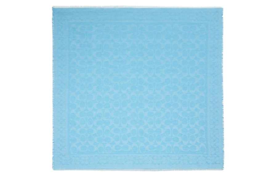 COACH COACH Knit Scarves Women's Blue