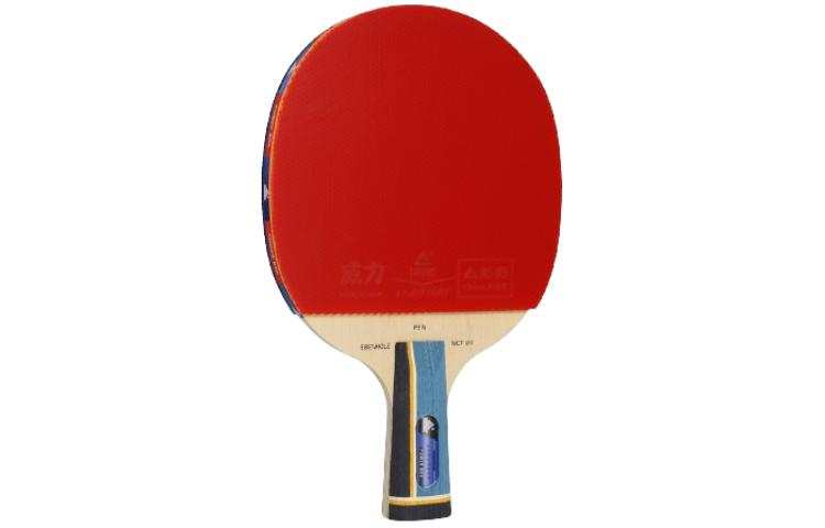 PEAK PEAK Ping Pong Paddles Unisex Solid Wood, Carbon Fiber Single Racket
