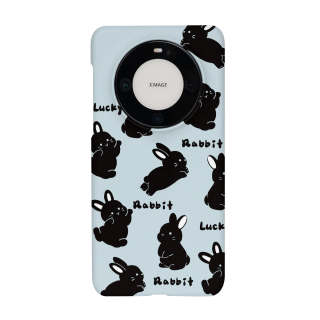 VICY PC Material Matte Hard Shell Skin Friendly Feel Full Screen Rabbit Phone Cases
