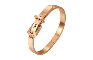 ZEGL Titanium Steel Bangles Women's