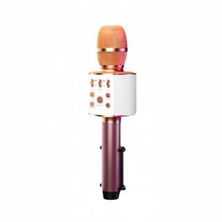 SANSUI Microphones