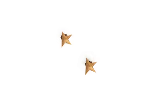 Golden Goose en Goose star-shaped earrings