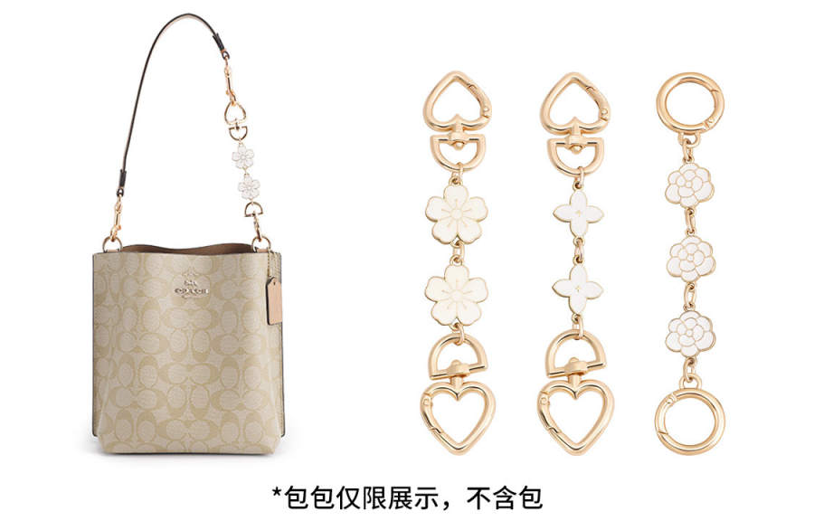 Luxury Care Artisan Workshop Metal Bag Straps Women's Gold Tone/White