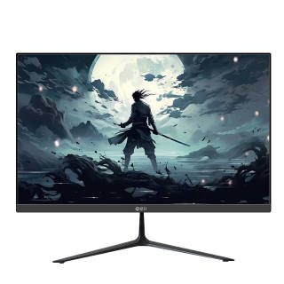 IPASON Tyrannomon B3Z R High Definition Desktop Computer Monitor