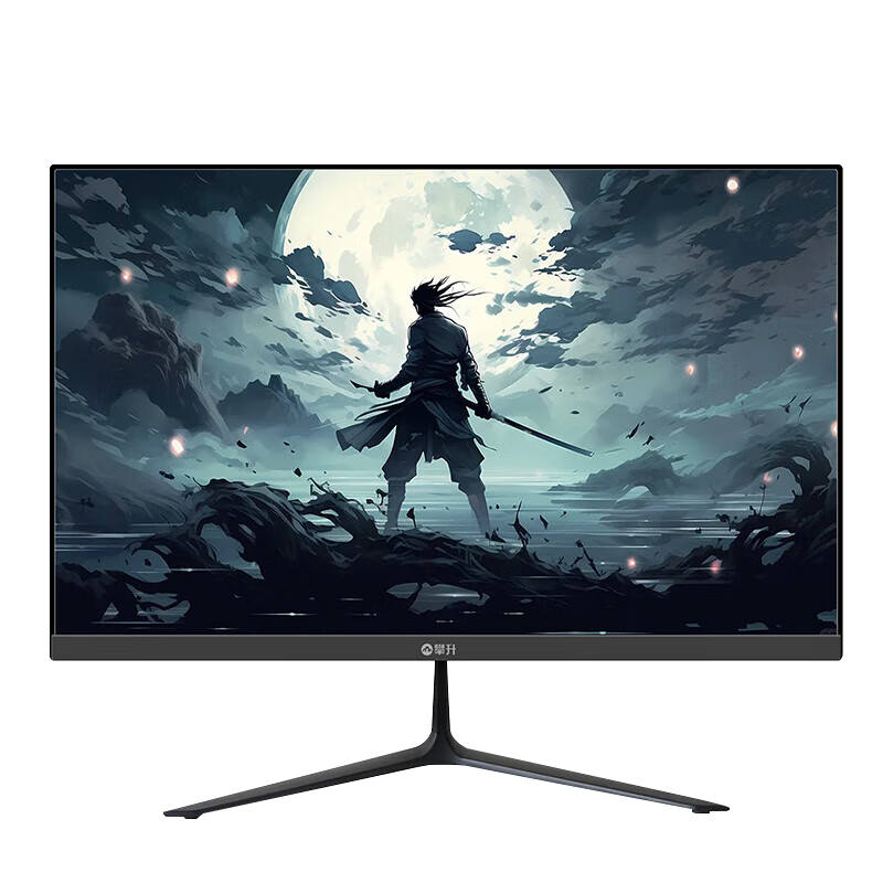 IPASON Tyrannomon B3Z R High Definition Desktop Computer Monitor