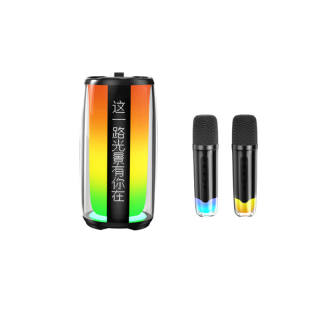 Newmine Wireless Speakers